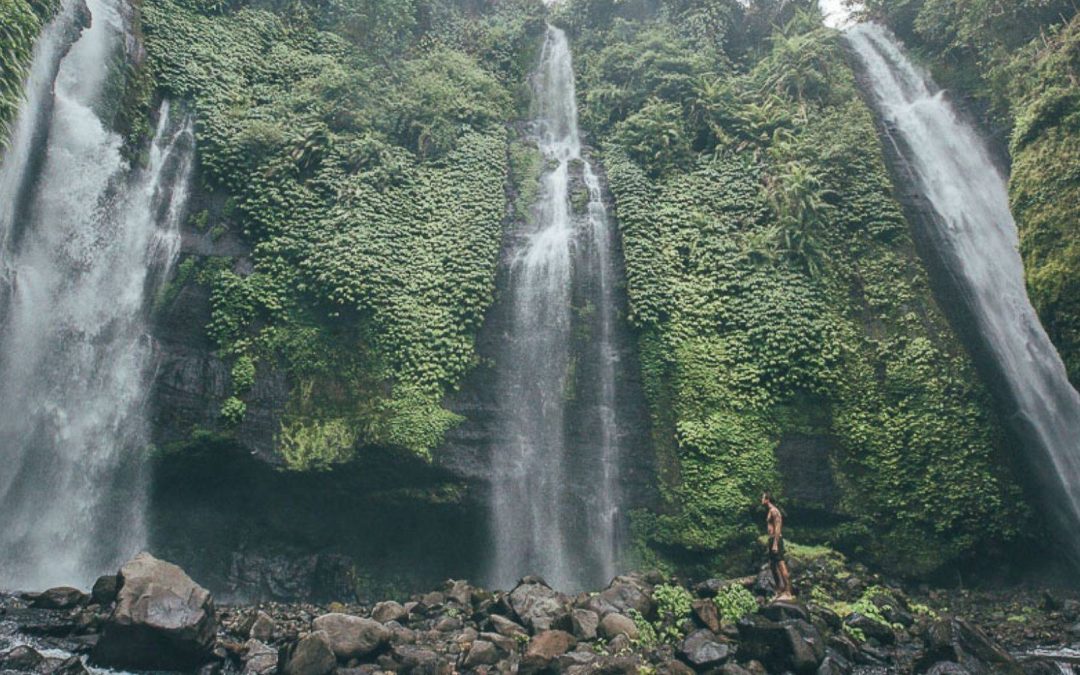 West Bali Nature & Heritage Discovery: Waterfalls, Floating Temples & UNESCO Rice Terraces